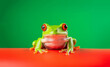 A beautiful frog, possibly a clown frog king, is seen on a red surface, wearing a hat.