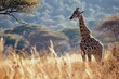 Giraffe in the Wild - Serene Savanna Scene - African Wildlife - Golden Grasslands - Generative AI