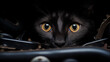 A curious cat peeks out from within the dark recesses of a car engine.