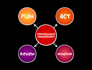 Poster - performance management - process of ensuring that a set of activities and outputs meets an organizat