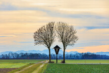 A Field Path Near Graben Near Augsburg Leads To A Wayside Cross Under A Cloudy Sky With The Alps In The Background