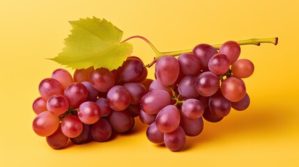 Wall Mural - Isolated red grapes.. Generative AI