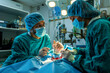 Concentrated Surgical team operating a patient in an operation theater