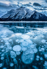 Wall Mural - Frozen Abraham Lake with rocky mountains and natural bubbles frost on winter at Kootenay Plains, Canada