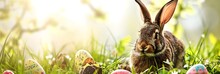 Easter Bunny Banner