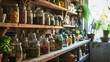 Various herbs in glass jars, pantry with organic herbs, medicines of natural origin