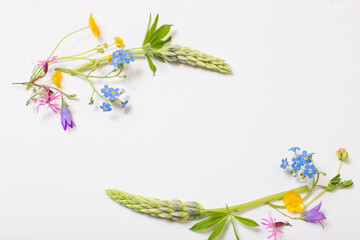 Wall Mural - beautiful wild flowers on white background