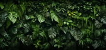 A 3D Wall Texture Resembling Dense Lush Green Jungle Foliage