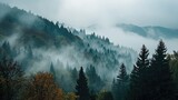 Fototapeta Las - Panoramic view of forest with morning fog, aerial spaces.