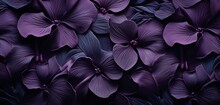 Enigmatic Tropical Floral Pattern With Ebony Black Pansies On A Beveled 3D Wall Texture