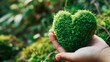 A hand holds a green grass heart - a symbol of environmental care, sustainable planet protection, ecologically responsible living, and love for nature. This gesture also aligns with the concept of Ear