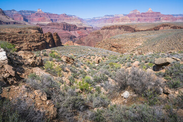 Wall Mural - hiking the tonto trail in the grand canyon national park, arizona, usa