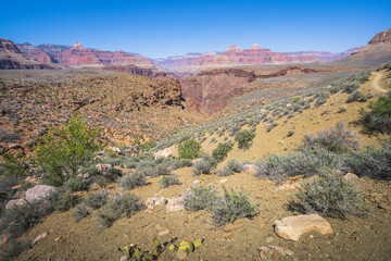 Wall Mural - hiking the tonto trail in the grand canyon national park, arizona, usa