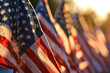 Presidents' Day flag display, an impressive image featuring a display of American flags in honor of Presidents' Day.