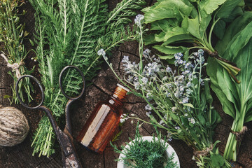 Wall Mural - Medicinal infusion bottle, mortar and bunches of fresh medicinal herbs - forget me not, plantain, juniper, yarrow, shepherd purse, viburnum leaves. Top view, flat lay. Alternative herbal medicine.