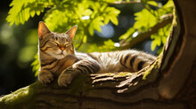 A Tabby Cat Lounging On A Tree Limb, Basking In The Sun.
