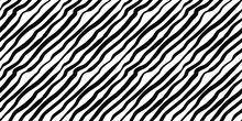 Seamless Zebra Stripe Pattern,black On White Background.Vector Illustration.