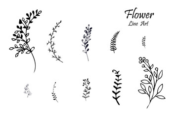 Wall Mural - Hand drawn botanical floral flowers, branches, leaves, plants, herbs. Label, logo, branding business identity, wedding invitation, wreath, frame. Vector illustration