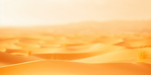 Wall Mural - An arid desert landscape with golden sand dunes under a warm sunset sky.