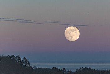 Wall Mural - Full moon in different compositions with multiple exposure