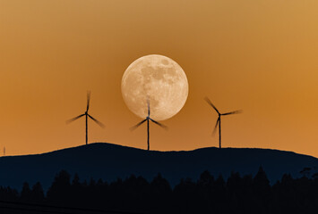 Wall Mural - Full moon in different compositions with multiple exposure