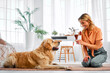 Animal companion. Caucasian woman sitting on floor next to well behaved fluffy dog and showing new toy. Affectionate female keeper giving canine friend sincere love and attention at living room.