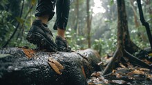 Jungle Challenge: In A Low Angle Shot, An Asian Couple Attempts To Climb Over A Log In A Raining Jungle, With The Focus On Their Trekking Shoes In This Adventurous And Challenging Trek.

