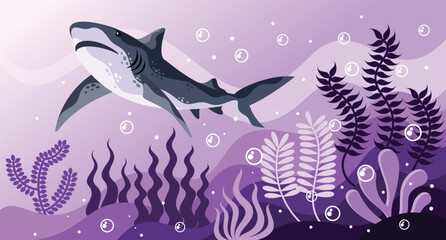 Shark Vector Illustration