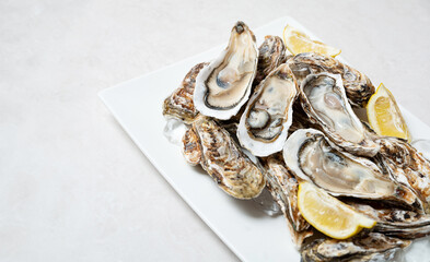 Canvas Print - Half shell oysters on plate