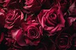 An anniversary card enveloped in deep burgundy roses, their rich and passionate hue celebrating the depth and intensity of a lasting love.