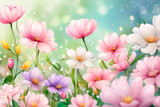 Fototapeta Kwiaty - Cosmos flowers blooming in the garden with soft focus background.