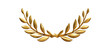 On-pure-white-background,Golden-laurel-wreath-isolated-on-white-background.-Trophy,-award,-champion-concept，png