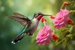 hummingbird on flower | Little Sparrow | Multicolor Birds