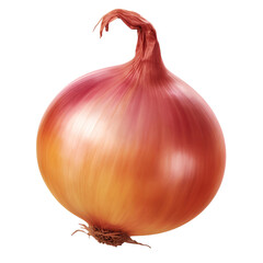 Wall Mural - red onion isolated on white