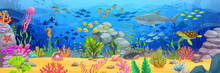 Long Banner With Sea Underwater Landscape. Cartoon Shark And Turtle, Fish Shoals, Seaweeds And Corals On Sand Bottom Vector Background. Blue Water Waves With Jellyfish, Seahorse, Starfish, Stingray