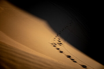 Wall Mural - Landscape desert Morocco