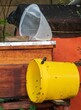 Honey bees collect residue honey and wax from equipment used in a honey harvest