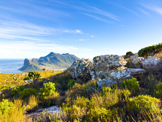 Wall Mural - Hout Bay Coastal mountain landscape with fynbos flora in Cape Town.