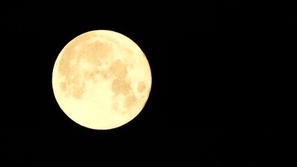 Wall Mural - A glowing golden huge full moon seen from earth through the atmosphere against a starry night sky. A large full moon moves across the sky, the moon moving from the left frame to the right.