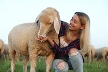 Smiling Woman Feeding Cute Sheep On Pasture. Farm Animals