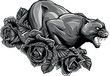 monochromatic panther with roses on white background