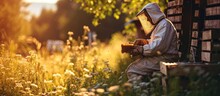 A Beekeeper In A Protective Suit And Gloves Holds Honey Frames With Honeycombs In His Hands Eco Apiary In Nature Beekeeping Wooden Beehives With Bees Production And Pumping Of Fresh Honey