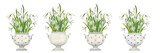 Fototapeta  - A set of bouquets of snowdrops in porcelain vases. Watercolor botanical illustration in vintage style. Set of isolated elements on a white background