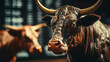 Bulle Stier als Symbol für anhaltend steigende Kurse an der Börse - Bullenmarkt Hausse Hochkurs-Periode