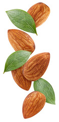 Wall Mural - Flying Almond isolated on white background