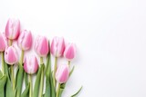 Fototapeta Tulipany - beautiful tulips white and pink on white background, flat lay and copy space - generative ai
