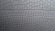 Gray Crocodile Leather Texture. Crocodile Skin Background.