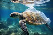 Plastic pollution in marine environmental problems Animals in the sea cannot live ocean sea turtle cover trap in plastic bag environment pollution problem