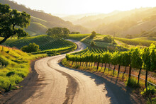 Wine Country Road Trip, A Picturesque Image Of A Winding Road Through Vineyards, Inviting Viewers To Embark On A Scenic Wine Country Road Trip.
