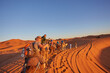 © Ryzhkov Oleksandr - Desert Safari Adventure in Morocco